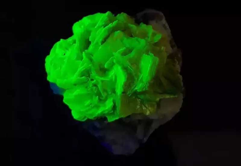 This beautiful mineral is autunite, displaying a striking yellow-green color in natural light. When exposed to ultraviolet light, it glows with a vivid lamp-like green fluorescence, creating a mysterious and captivating visual effect.