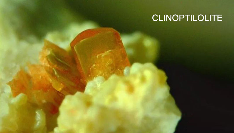 CLINOPTILOLITE