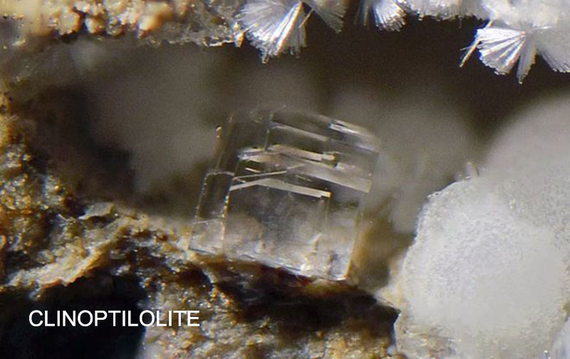 CLINOPTILOLITE