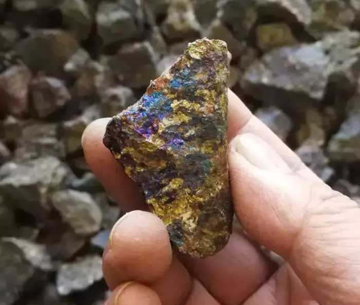 A piece of chalcopyrite copper ore showing vivid iridescent colors caused by a thin oxidation film. This mineral contains iron, sulfur, and copper, and is easily recognized by its rainbow-like surface sheen.