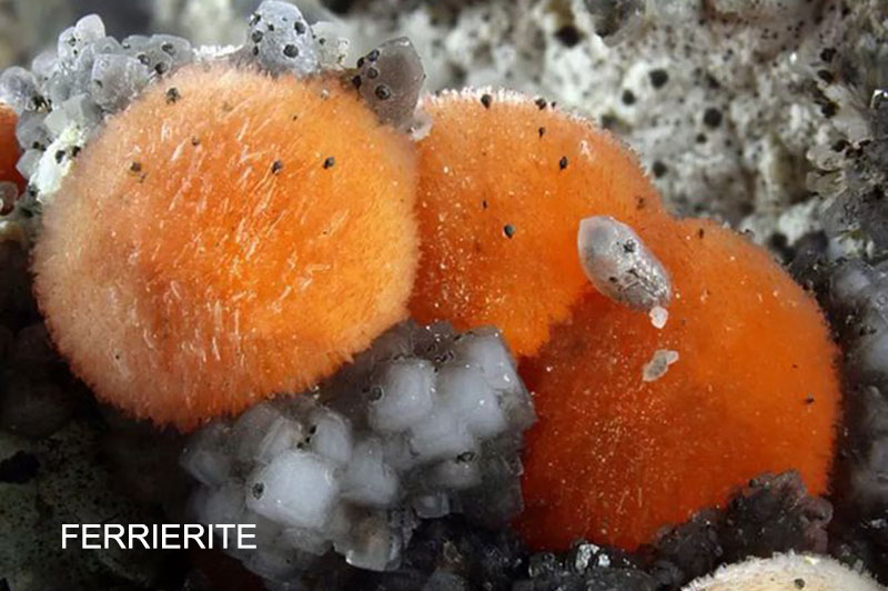 FERRIERITE