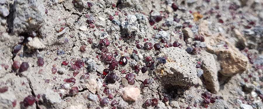 Small red garnet crystals embedded in rough rock, showing how gemstones appear naturally before extraction.