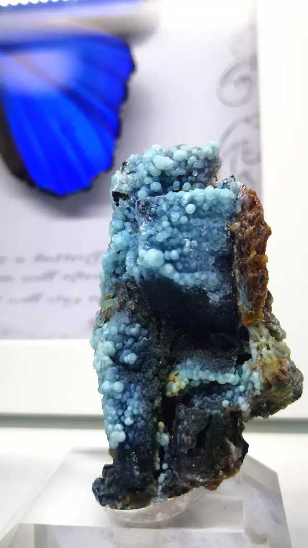 A rare gibbsite (trihydrargillite) specimen from Yunnan, China, showcasing vivid blue botryoidal crystal formations. Highly valued by mineral collectors, this aluminum ore highlights the natural beauty and diversity of bauxite minerals.