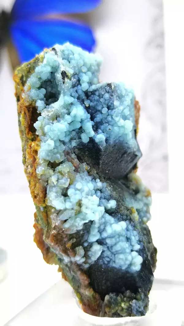 Another view of the rare gibbsite specimen from Yunnan, China, highlighting its striking botryoidal crystal formations in vivid blue. This aluminum ore is prized by collectors for both its scientific significance and its natural beauty.