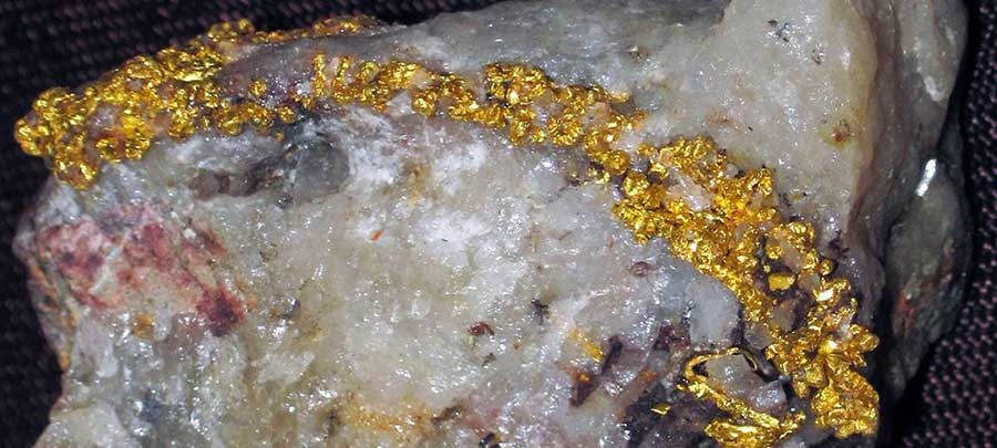 Close-up photo of a natural gold vein embedded in quartz rock, showing the formation of gold deposits through hydrothermal processes.