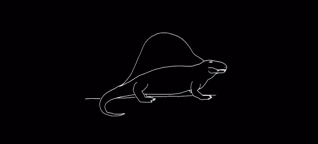 Animated timeline of human evolution showing the gradual transition from ancient reptiles and early mammals to primates and modern humans.