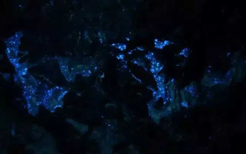 A rare scene from deep underground mines, where certain minerals emit a faint blue fluorescence in complete darkness, creating a mysterious and captivating glow.