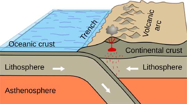 Illustration of an oceanic plate subducting beneath a continental plate, forming a trench and volcanic arc. Shows lithosphere and asthenosphere interaction at convergent boundaries.