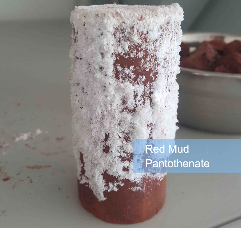 Pantothenate of red mud