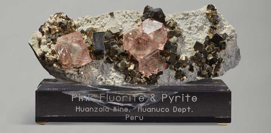 A rare pink fluorite crystal with sparkling pyrite cubes from the Huanzala Mine, Peru