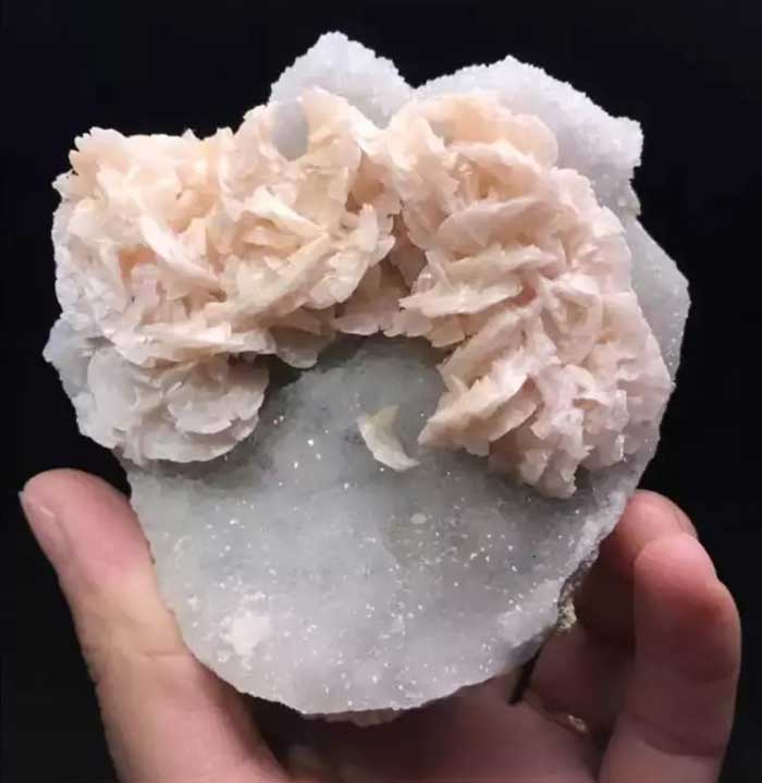 A stunning mineral specimen featuring delicate rose-like crystals on a quartz matrix. Such unique mineral formations are highly prized by collectors worldwide, often reaching very high auction values.
