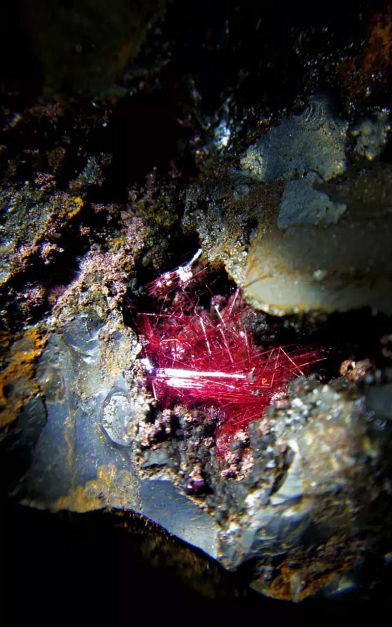 Bright red crocoite crystals with slender needle-like structure shining inside dark host rock.