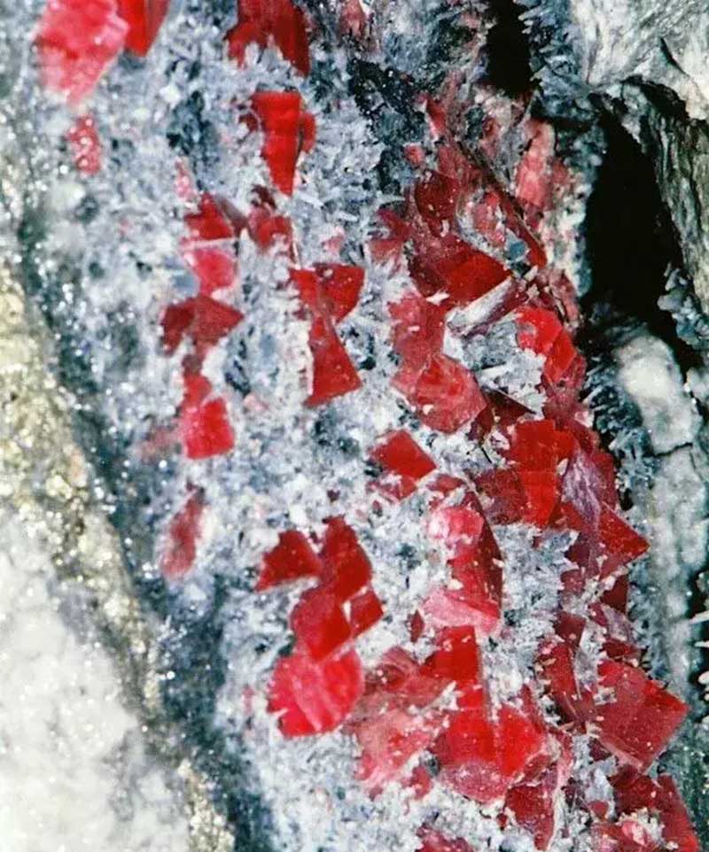 red rhodochrosite crystals embedded in a natural rock matrix
