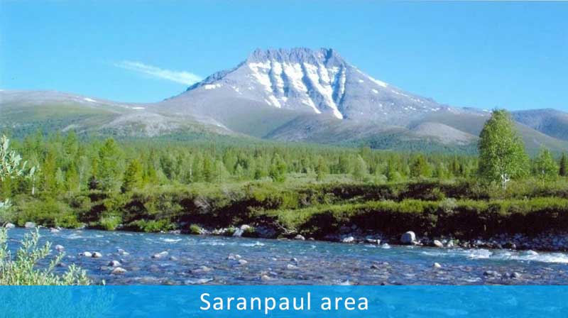 Saranpaul area