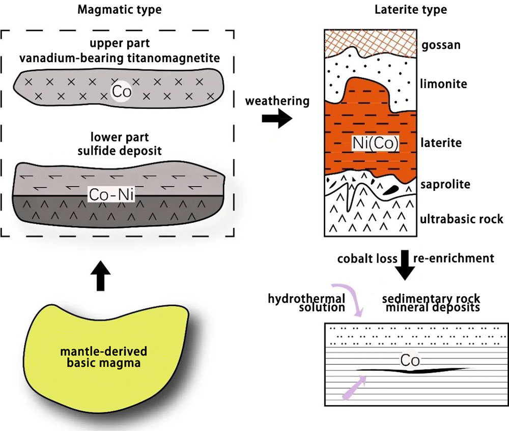 Schematic diagram of the separation of cobalt and nickel during the mineralization process