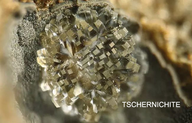 TSCHERNICHITE