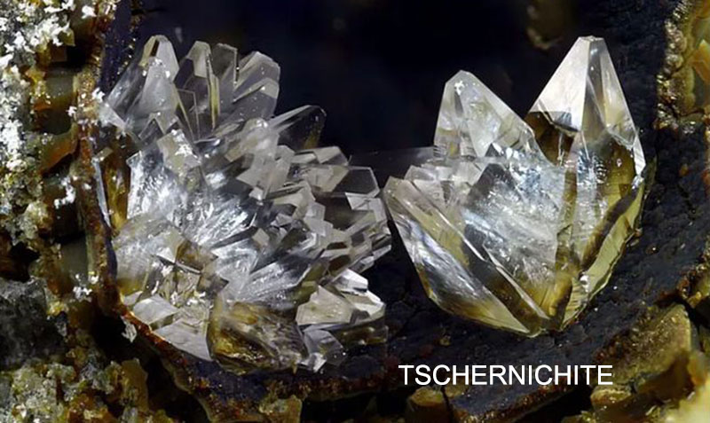 TSCHERNICHITE