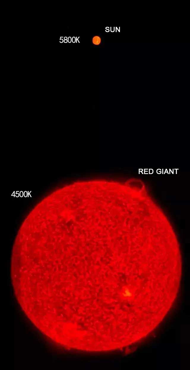 Comparison of the current Sun (5800K) and a Red Giant star (4500K). As nuclear fusion progresses and helium accumulates, stars like the Sun expand into massive red giants—cooler but vastly larger in size.