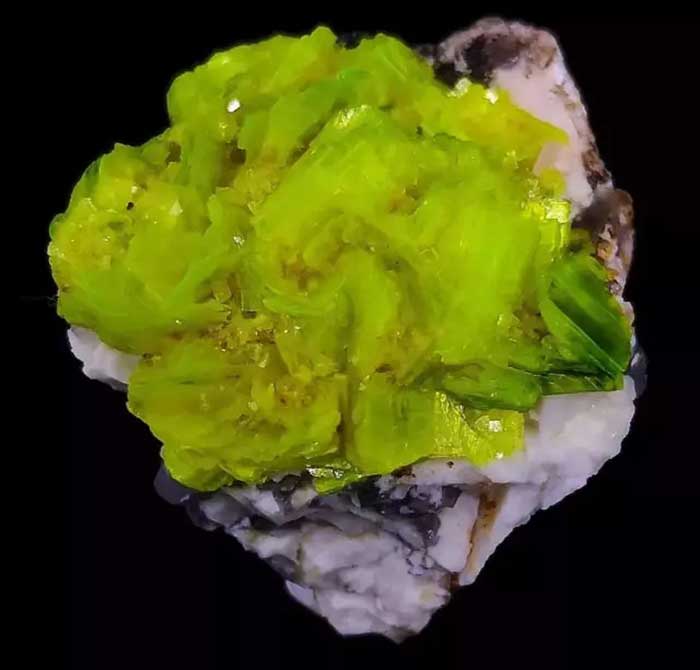 A striking uranium mineral specimen displaying vivid yellow-green autunite crystals. Known for its fluorescence and historical importance, uranium ores like this have been essential for nuclear energy and research since the mid-20th century
