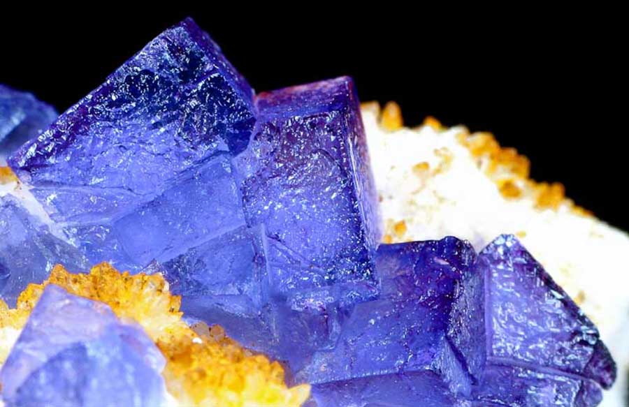 A striking specimen of fluorite showcasing vivid blue cubic crystals with deep purple zoning.