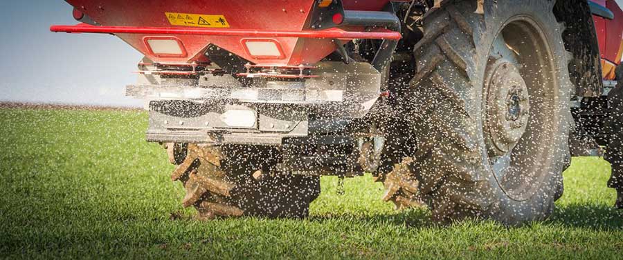 Granular potassium sulfate (SOP) fertilizer application showing improved handling and mechanized spreading advantages