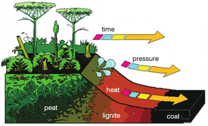 how coal is generated
