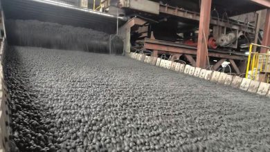 pellets from disc pelletizer is screening on the rotating screener