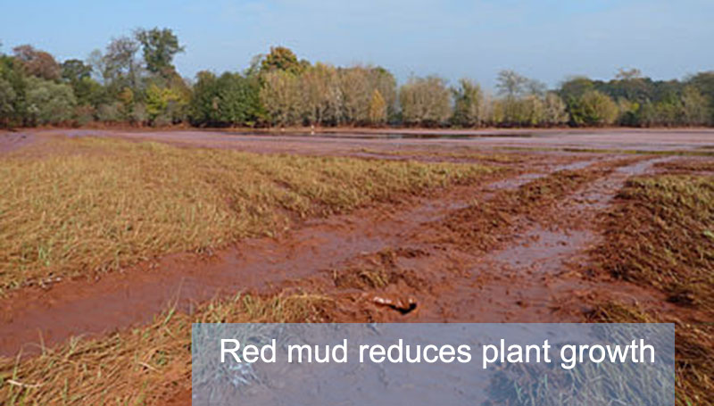 red mud reduces plant growth