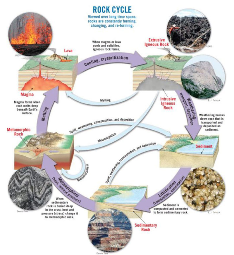 Rock and Mineral, 5 differences | MAXTON