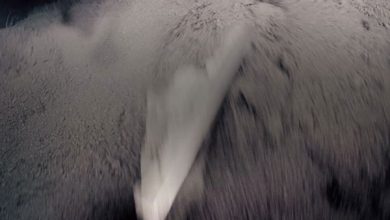 solid material is mixing with binder in paddle mixer